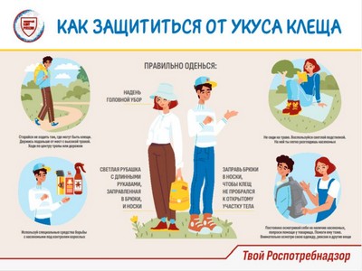 «Осторожно, клещи!»