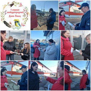 «Мир пернатых друзей»