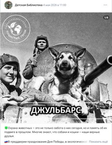 «Удивительное рядом: Пушистые герои»